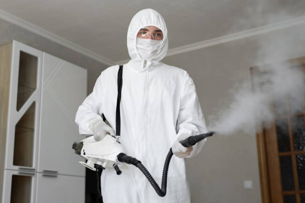 Northfield, OH Mold Removal Company